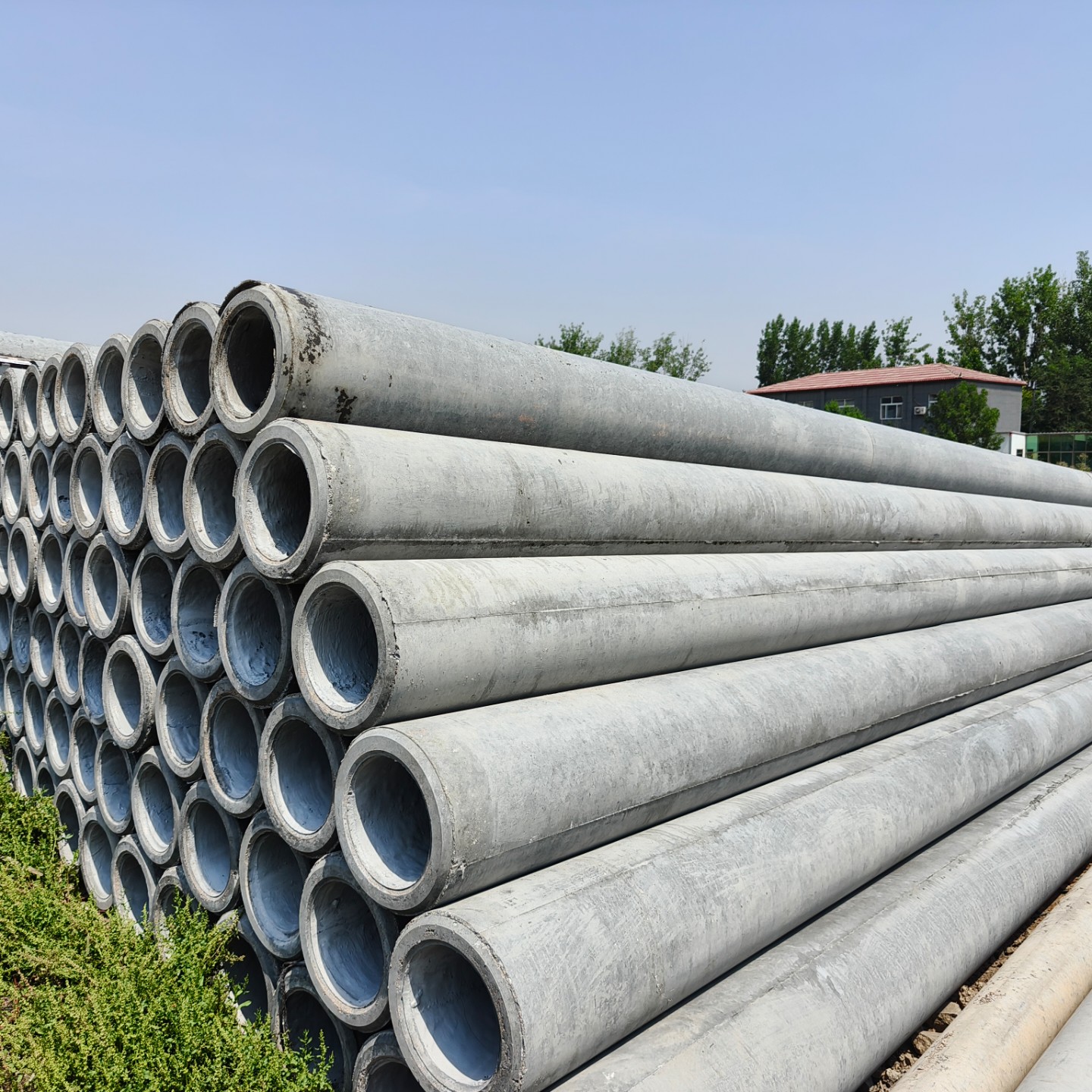 蜀山10米钢筋混凝土电杆